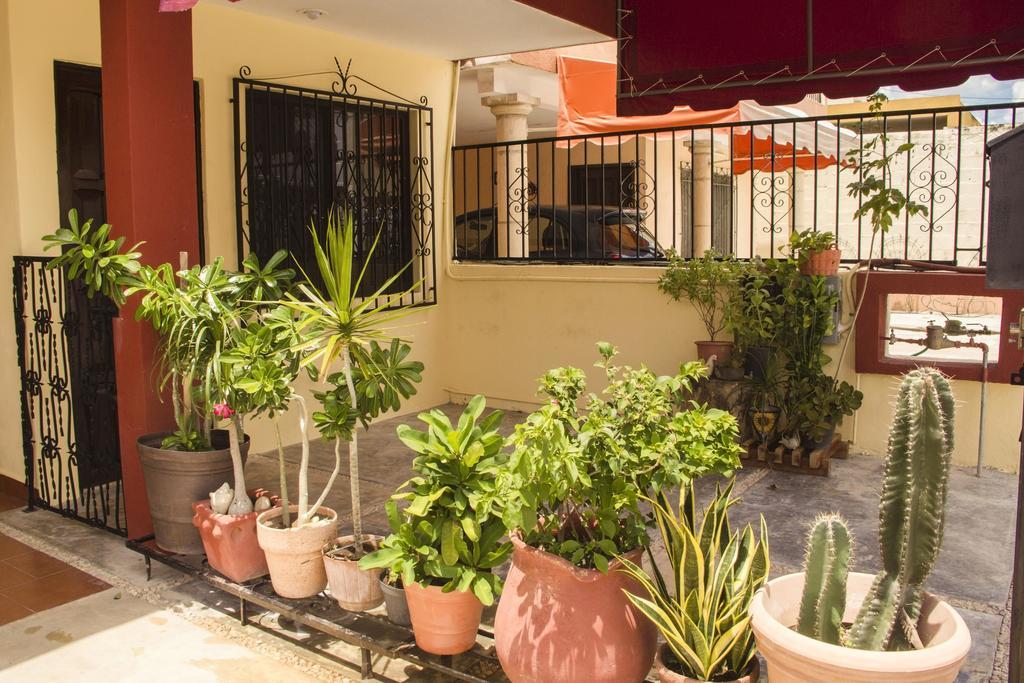 La Casa Del Chac Vila Mérida Exterior foto