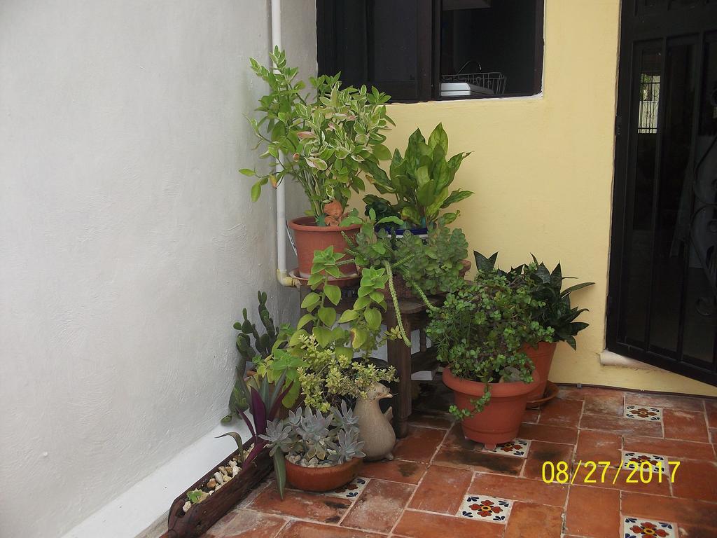 La Casa Del Chac Vila Mérida Exterior foto